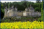 +CL - Loire Castles